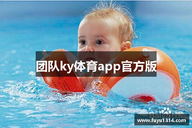 团队ky体育app官方版